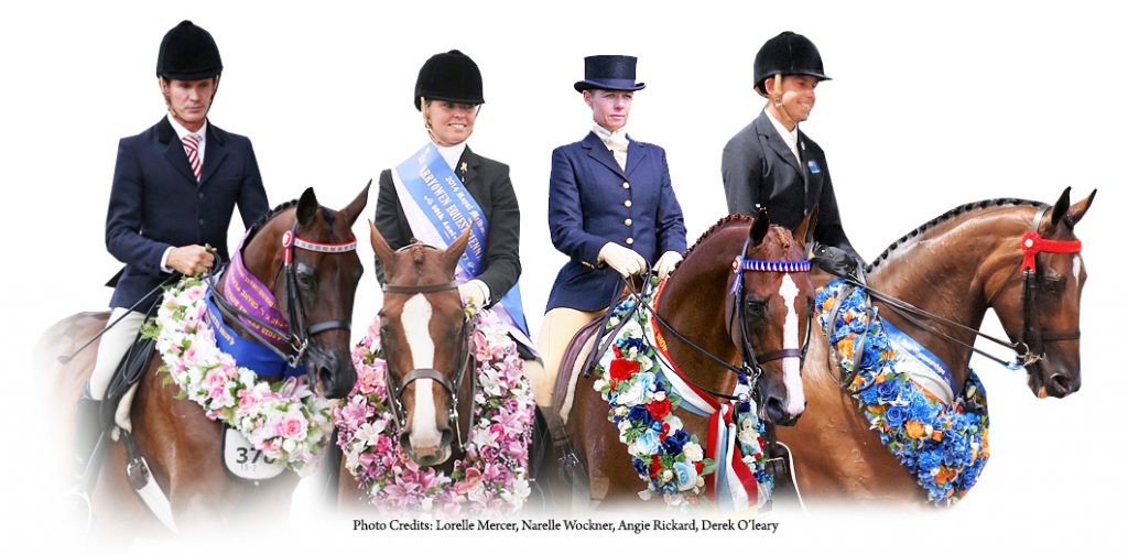 Conception Garlands Floral Garlands for horse shows